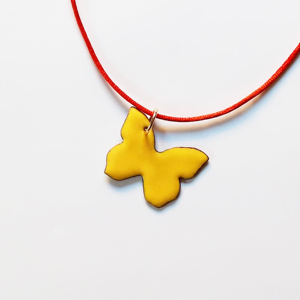 Image of PAPALLONA GROGA