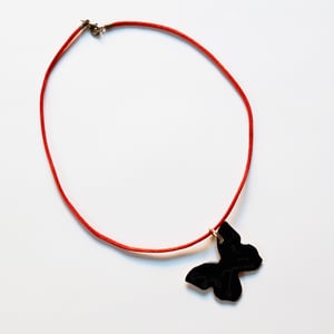 Image of PAPALLONA GROGA