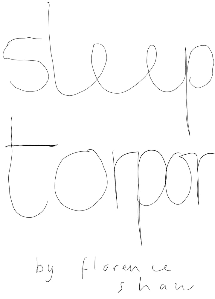 Image of Sleep Torpor