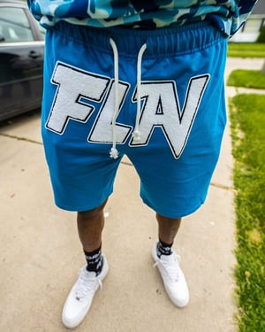 Image of Blue FLAV Shorts