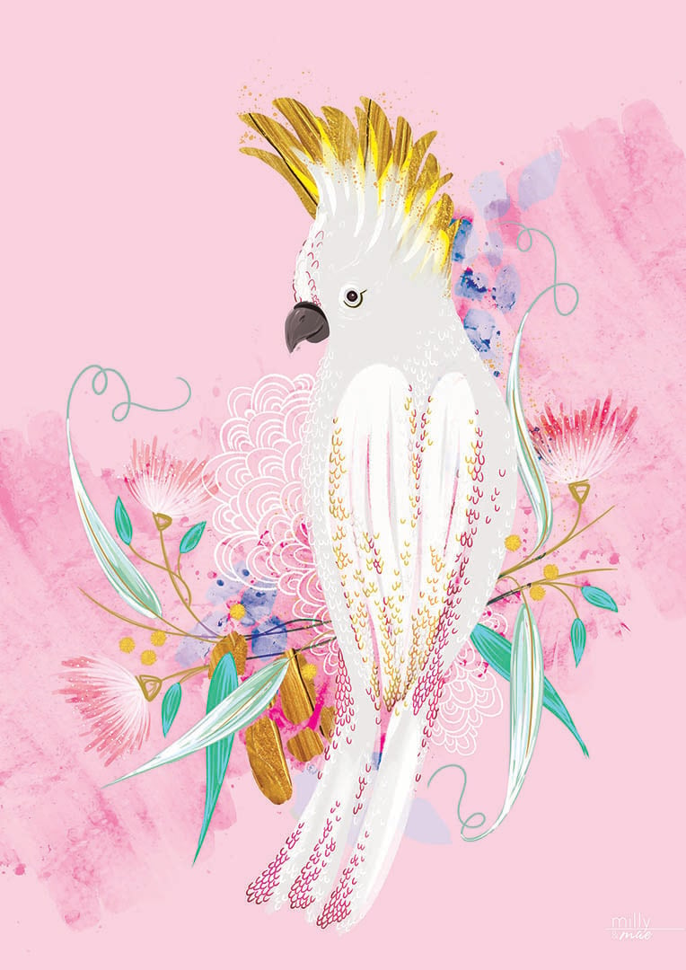 pink cockatoo cost