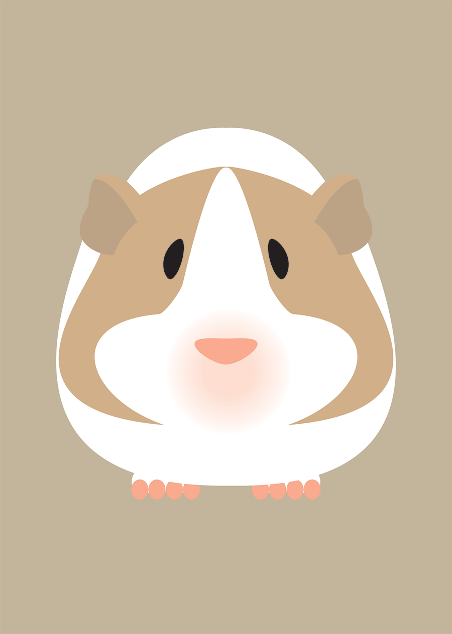 Guinea Pig Collection