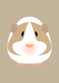 Image 5 of Guinea Pig Collection
