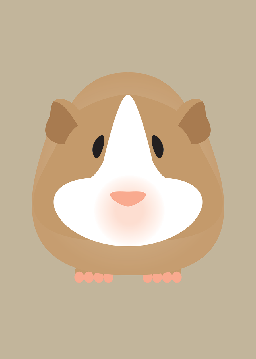 Guinea Pig Collection
