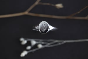 Image of Botanical Engraved Signet ring (made in silver or 9ct gold)
