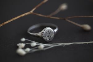 Image of botanical engraved signet ring (in silver or 9ct gold)