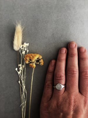 Image of Botanical Engraved Signet ring (made in silver or 9ct gold)