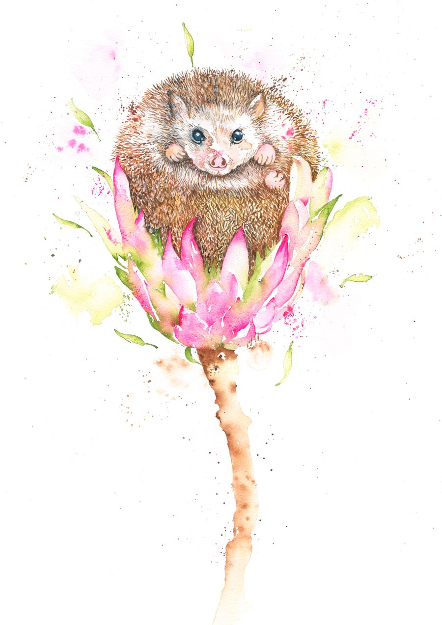Image of Henry, the cute baby Hedgehog with FREE SHIPPING