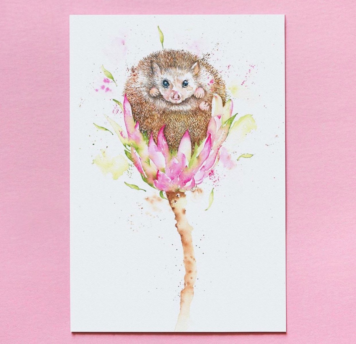 Image of Henry, the cute baby Hedgehog with FREE SHIPPING