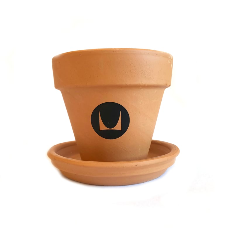 Image of Herman Miller 4" Terracotta Pot