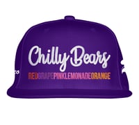 Image 2 of The Original Charleo Chilly Bear Flat Brims