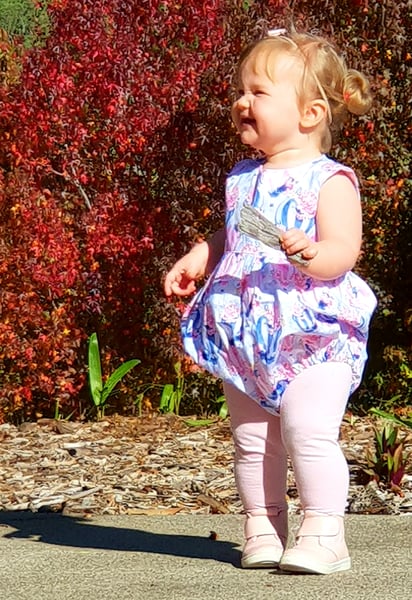 Image of Up up and away playsuits (Blue and Pink)
