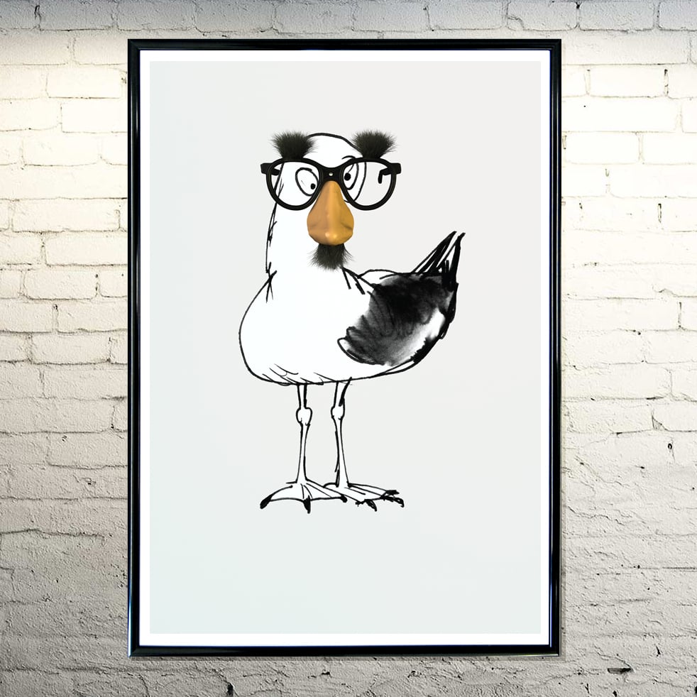 Image of Groucho Gull