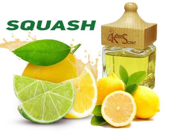 Image of SQUASH Premium Home Fragrance Diffuser