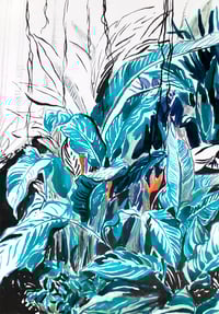 Image 1 of Ginger – Archival Digital Print  