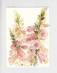 Foxgloves no. 1
