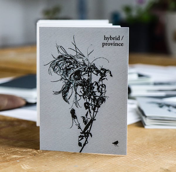 Image of 'Out-siders/' handmade chapbook