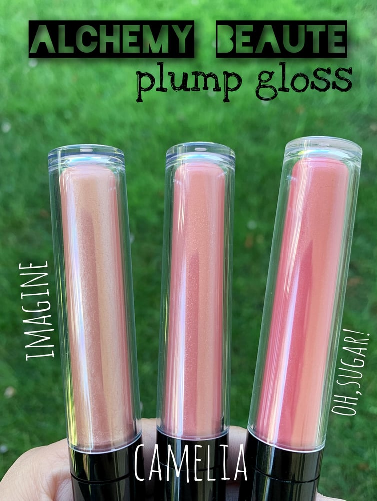Image of Alchemy Lip Plumper Gloss