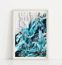 Image 2 of Ginger – Archival Digital Print  