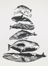 Image 1 of Whale Scale -- Screen Print