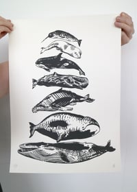 Image 2 of Whale Scale -- Screen Print
