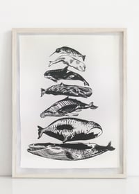 Image 3 of Whale Scale -- Screen Print