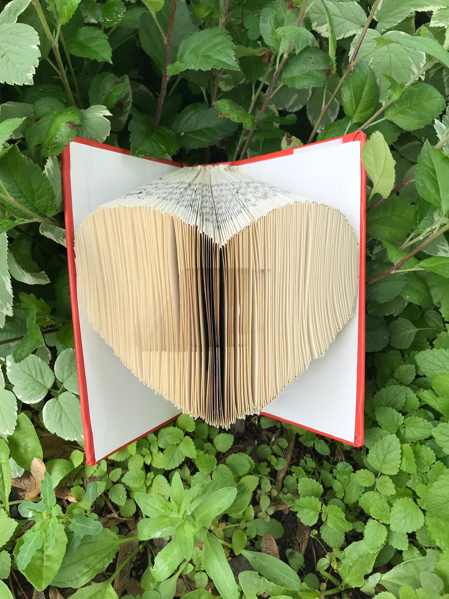 Image of Heart Bookfold