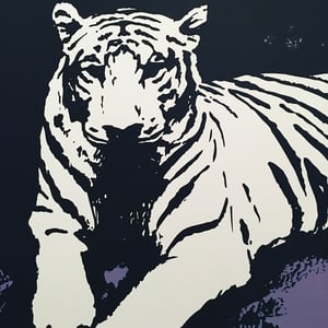 Image of White tiger -  Very limited edition screen print, 24 x 36