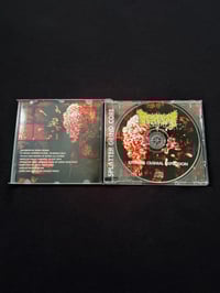 Image 3 of TRITURADOR - “ Extreme Cranial Explosion”