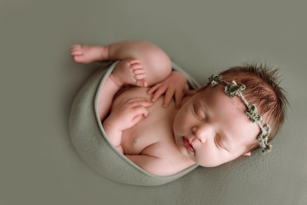 Image of Newborn Photoshoot 