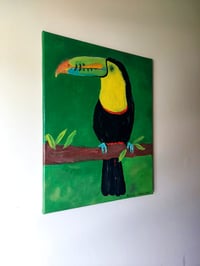 Image 2 of The Toucan