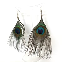 Image 2 of Beautiful Peacock Feather Earrings