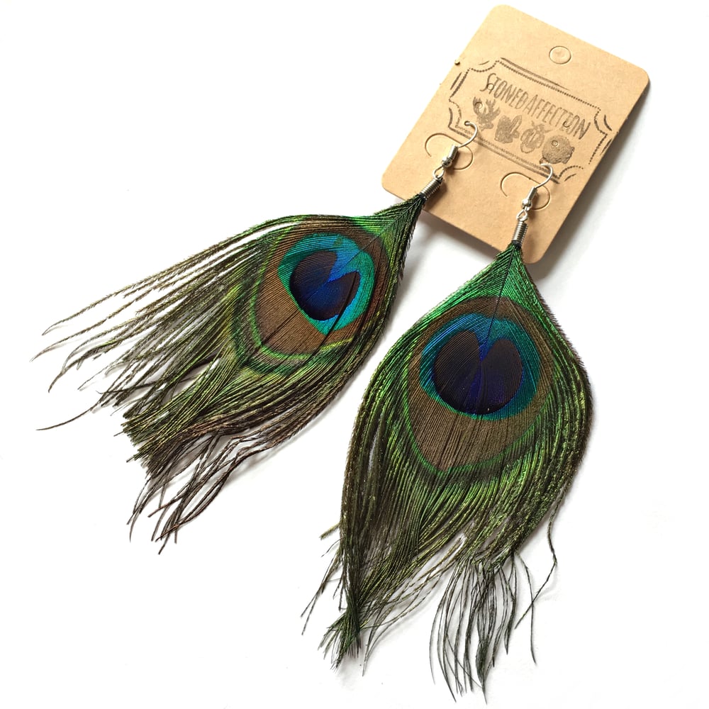 Image of Beautiful Peacock Feather Earrings