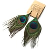 Beautiful Peacock Feather Earrings