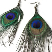 Image 3 of Beautiful Peacock Feather Earrings