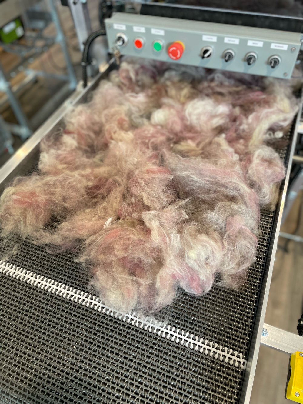 11.4 oz. • Pressed Flowers big batt: on Targhee, Rambouillet, Corriedale, Angora