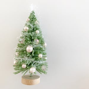 Image of Christmas Trees 2021