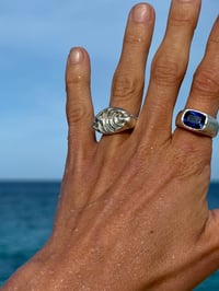 Image 1 of Emperor angel fish ring