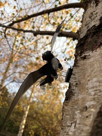 Image 5 of Night-Light Wall Flyer Sculptures - CHOOSE Your Dragon!