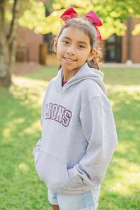Image 2 of Youth Gray LIONS Hoodie 
