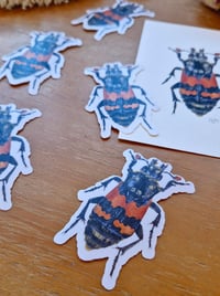 Image 2 of Burying Beetle Sticker