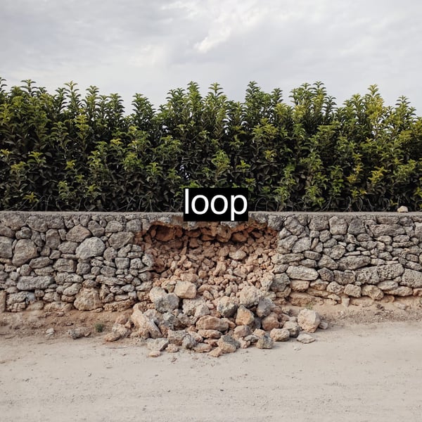 Image of The Leaf - Loop