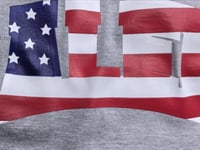 Image 3 of S4LEM COLLEGIATE USA HOODIE BLACK