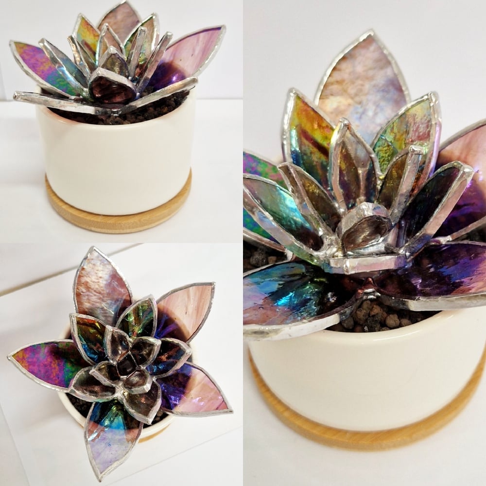Image of Stained Glass Succulent 