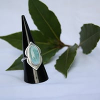 Image 1 of Shielded (Larimar)