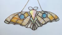 Image 2 of Milk moth