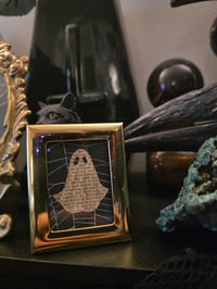 Image 1 of 1800’s biblical Ghost with preserved spider web -5