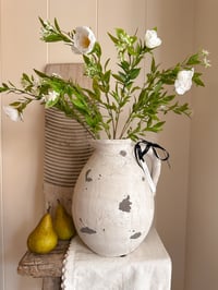 Image 3 of The Madeleine Jug