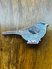 Image 2 of White-crowned Sparrow - No.131 - UK Birding Series