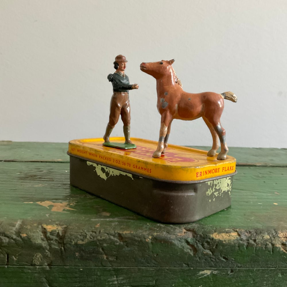 Image of Woman Patting Foal